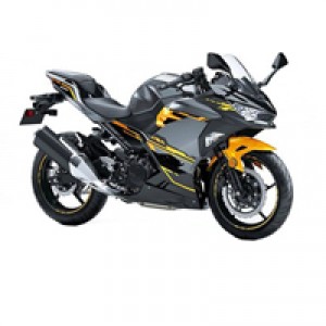 Carenados Kawasaki EX400 Asequibles