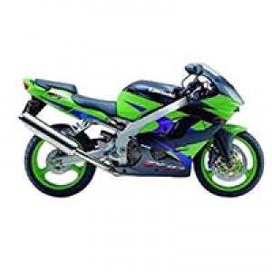 Carenados Kawasaki ZX9R 2002-2003 Asequibles