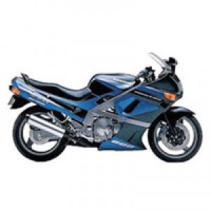 Carenados Kawasaki ZZR600 1998-2003 Asequibles