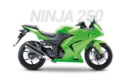 Kawasaki Ninja 250 Carenado