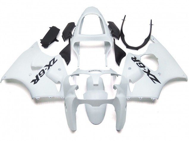 2000-2002 Blanco Brillo Liso Con Logo ZX6R Carenado