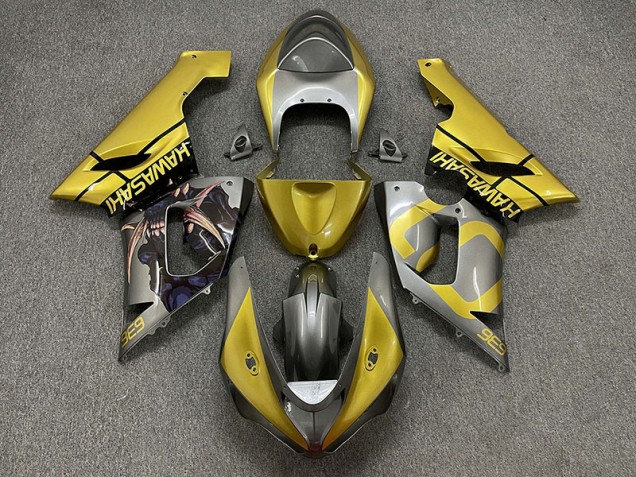 2005-2006 Oro & Plata ZX6R Carenado