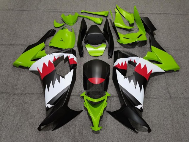 2008-2010 Tiburón ZX10R Carenado