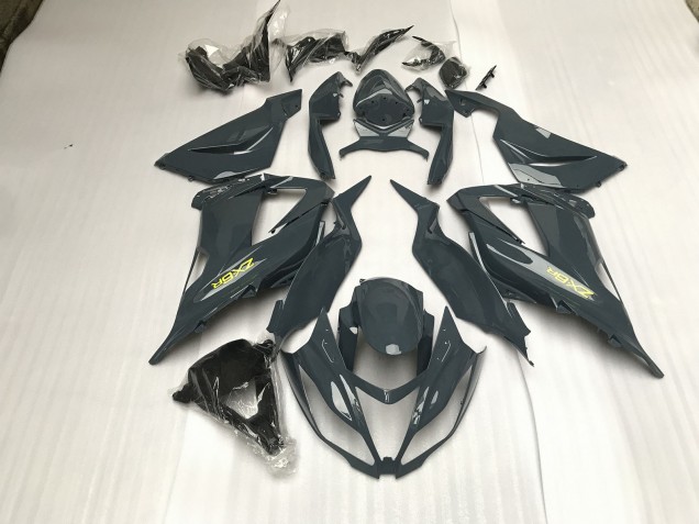 2013-2018 Gris Brillante ZX6R Carenado