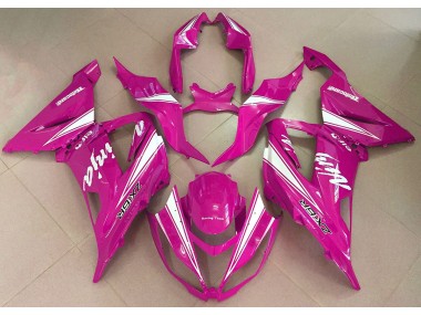 2013-2018 Ninja Rosa ZX6R Carenado