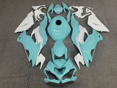 2019-2023 Agua ZX6R Carenado