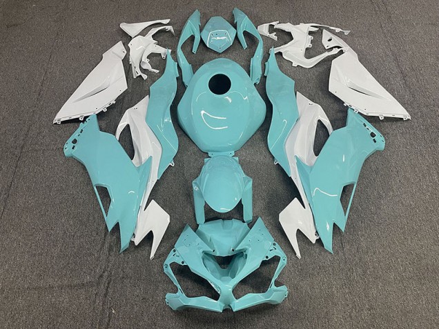 2019-2023 Agua ZX6R Carenado
