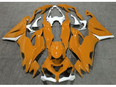 2019-2023 Naranja Brillante & Blanco ZX6R Carenado