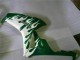 Carenados Moto Honda CBR1000RR 2006-2007 - Blanco Verde Llama Asequibles