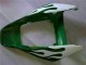 Carenados Moto Honda CBR1000RR 2006-2007 - Blanco Verde Llama Asequibles