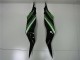 Carenado Moto Kawasaki ZX6R 2013-2018 - Verde Negro Brillante Asequibles