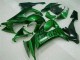 Carenados Moto Kawasaki ZX10R 2008-2010 - Negro Brillante Verde Llama Asequibles