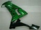 Carenados Moto Kawasaki ZX10R 2008-2010 - Negro Brillante Verde Llama Asequibles