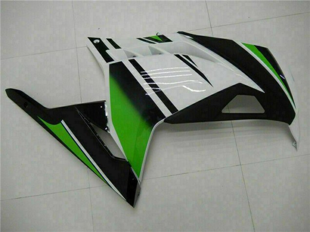 Carenados Moto Kawasaki Ninja 300 EX300R 2013-2024 - Blanco Verde Negro Asequibles