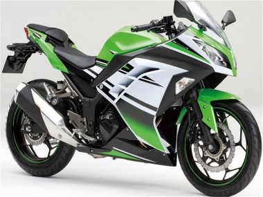 Carenados Moto Kawasaki Ninja 300 EX300R 2013-2024 - Verde Blanco Negro Raya Asequibles