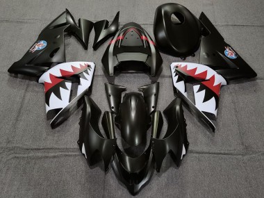 Carenados Moto Kawasaki ZX10R 2004-2005 - Negro Mate Betty Bomber Asequibles