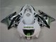 Carenados Moto Honda CBR600 F3 1995-1996 - Blanco Plata Verde Hannspree Asequibles