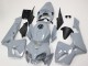 Carenado Moto Honda CBR600RR 2005-2006 - Nardo Gris Asequibles