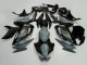 Carenados Moto Kawasaki Ninja 650 EX650 2020-2025 - Gris Negro Oro Asequibles