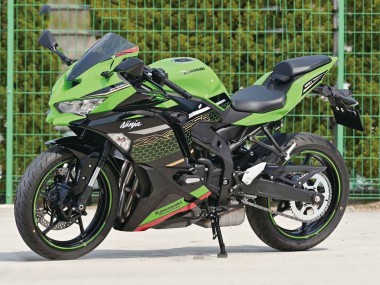 Carenados Moto Kawasaki ZX25R ZX-25R 2019-2025 - Verde Negro Rojo Honeycomb Asequibles