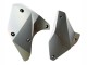 Carenados Moto Kawasaki Ninja H2 2015-2022 - Plata Asequibles