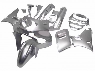 Carenados Moto Kawasaki ZZR600 1998-2003 - Plata Asequibles
