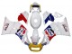 Carenados Moto Suzuki RG400 RG500 RG400/500 1984-1987 - Blanco Rojo Azul Amarillo Motul Michelin Pepsi Asequibles