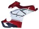 Carenados Moto Ducati Panigale V4 V4S 2020-2021 - Blanco Rojo Verde Negro Mate Asequibles