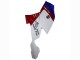 Carenados ABS BMW K1200S 2005-2010 - Blanco Rojo Azul Asequibles