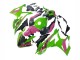 Carenados Moto BMW S1000RR 2023-2024 - Rosa Verde Negro Asequibles