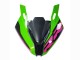 Carenados Moto BMW S1000RR 2023-2024 - Rosa Verde Negro Asequibles