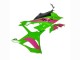 Carenados Moto BMW S1000RR 2023-2024 - Rosa Verde Negro Asequibles