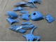 Carenados Moto BMW S1000RR 2023-2024 - Azul Brillante Asequibles
