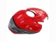 Carenados Moto BMW S1000RR 2019-2022 - Negro Rojo Gris Asequibles