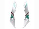 Carenados Moto BMW S1000RR 2015-2016 - Blanco Verde Negro Asequibles