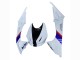 Carenados Moto BMW S1000RR 2009-2014 - Blanco Rojo Azul Negro Tyco Asequibles