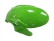 Carenados Moto Kawasaki ZX6R 2023-2025 - Verde Negro Asequibles