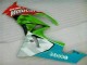 Carenados Moto Kawasaki ZX6R 2009-2012 - Verde Blanco Rojo Negro Azul Motocard Asequibles