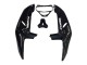 Carenados Moto Honda CBR900RR 919 1998-1999 - Negro Brillante Blanco Calcomanías Asequibles