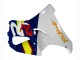 Carenados Moto Honda CBR900RR 919 1998-1999 - Blanco Rojo Amarillo Azul Asequibles