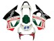 Carenados Moto Honda CBR900RR 954 2002-2003 - Blanco Rojo Verde Negro Brillante Castrol Asequibles