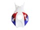 Carenado Moto Honda CBR1000RR 2006-2007 - Blanco Rojo Azul HRC Asequibles