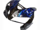 Carenado Moto Honda CBR600RR 2005-2006 - Negro Brillante Azul Llama Asequibles