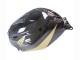 Carenado Moto Honda CBR600RR 2005-2006 - Negro Oro Asequibles