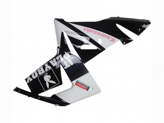 Carenados Moto Kawasaki ZX10R 2004-2005 - Negro Rosa Blanco Playboy Motul Asequibles