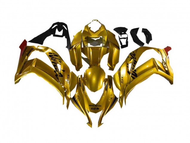 Carenado Moto Kawasaki ZX10R 2016-2020 - Oro Negro Asequibles