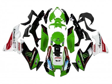 Carenados Moto Kawasaki ZX10R 2021-2025 - Verde Negro Blanco Rojo Azul Showr Elf Monstruo Asequibles