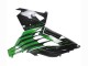 Carenados Moto Kawasaki ZX14R ZZR1400 2012-2024 - Verde Negro Brillante Raya Asequibles