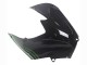 Carenados Moto Kawasaki ZX14R ZZR1400 2012-2024 - Verde Negro Brillante Raya Asequibles