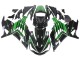 Carenados Moto Kawasaki ZX14R ZZR1400 2012-2024 - Verde Negro Brillante Raya Asequibles